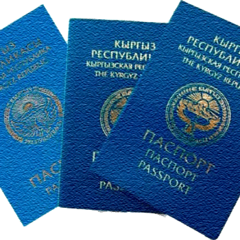 perevod passporta kirgizii